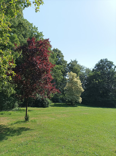 Schlosspark Lodersleben - Visual
