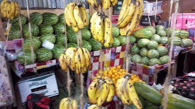 Photos of Rimpa