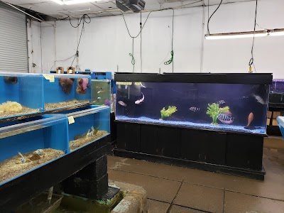 Global Aquatics Tropical Fish & Pet Supplies