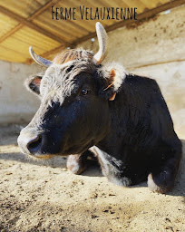 Photo n°29 de Ferme Velauxienne à Velaux (Ferme)