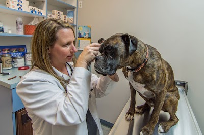 Photos of The Animal Hospital of Roxbury