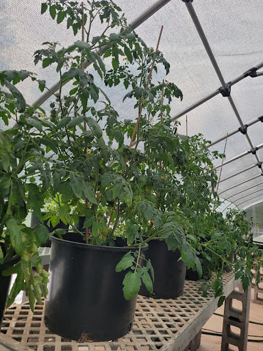 Back Road Organic Supply Gallery - United States