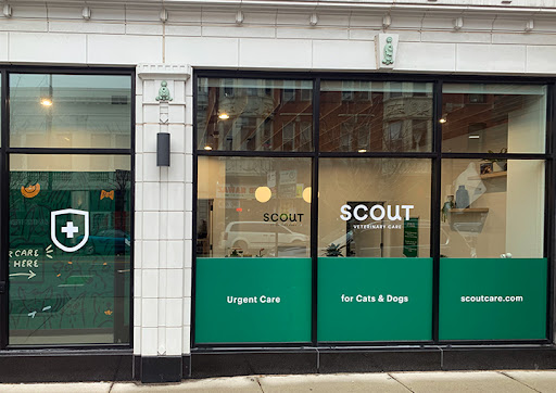 Scout Veterinary Care - Thumbnail