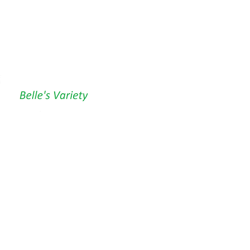 BV - Visual