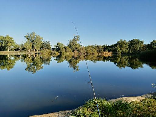 Button Estates Park - Visual