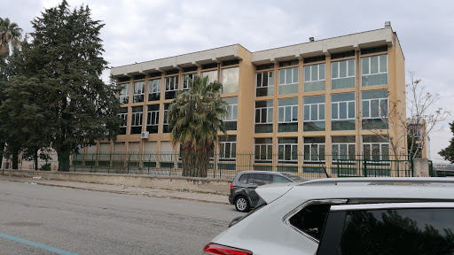 Liceo Scorza - Italy