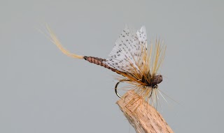 Fast Flies / Online store