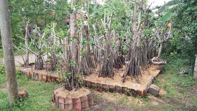 Photos of Pusat Beringin Dolar