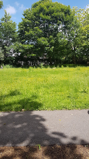 Coos Lane Play Area - Thumbnail