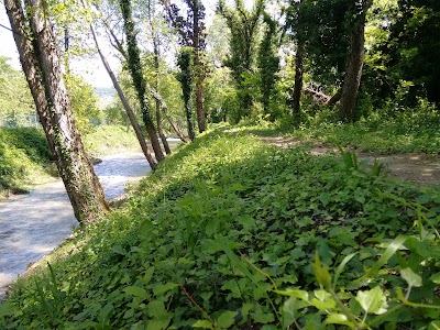 Photos of Laghetti delle Noghere