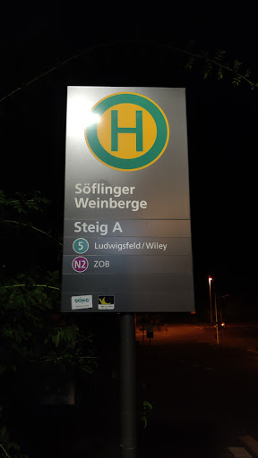 Söflinger Weinberge - Thumbnail