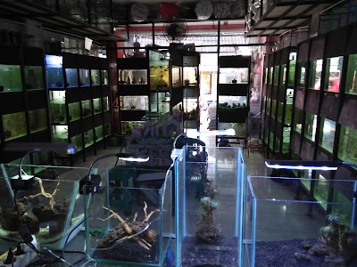 Photos of Planet Aquarium