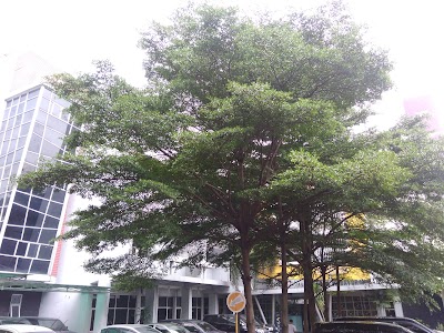Photos of Kantor Pelayanan Pajak Pratama Jakarta Kebayoran Baru Tiga