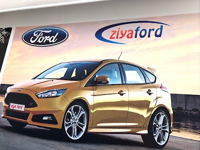 car-dealer