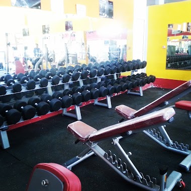 Rich Body Sports Center, Author: hamid max