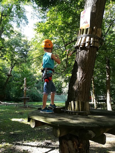 Photos of Old Lake Adventure Park