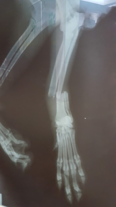 Photos of Veterinaria Oriente