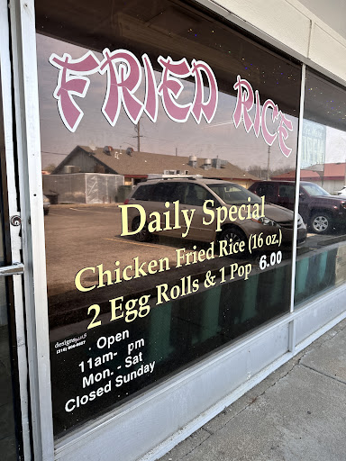Fried Rice - Visual