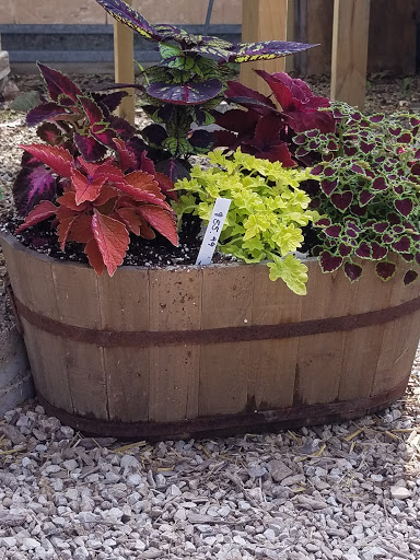 Boehm's Lawn & Garden Center - Thumbnail