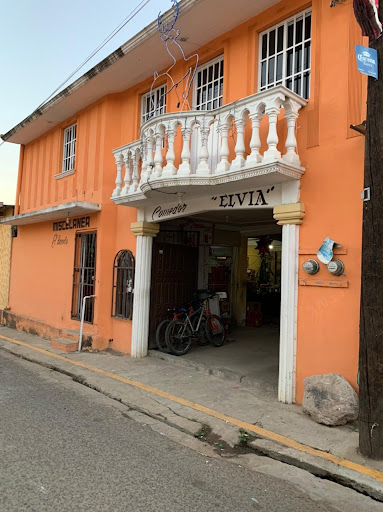 Comedor Elvia