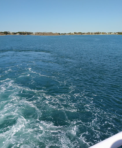 WH Ferry - Visual