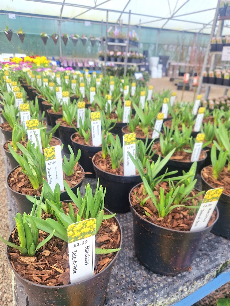 New Barns Nurseries photo 2