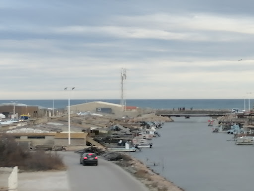 Huitres Leucate - Thumbnail
