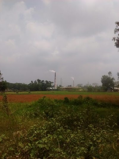 Photos of নেয়াজপুর জামে মসজিদ