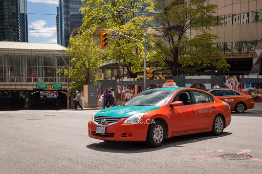Toronto Business Licensing & Regulatory Services - Thumbnail