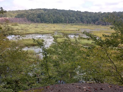 40 Acre Rock Lower Parking