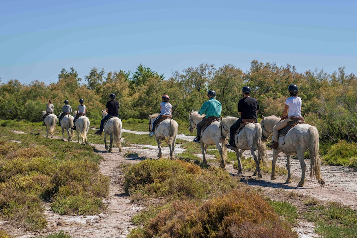 Mas de Calabrun by null