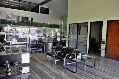 All Greens Dispensary