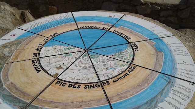 Pic des singes