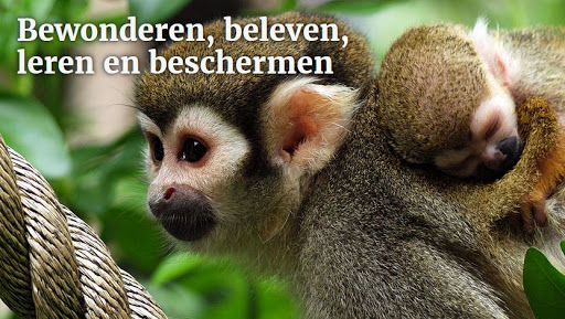 Vereniging Dier en Park