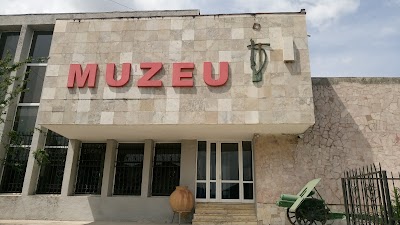 Muzeu i Tepelenes