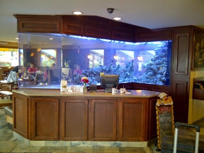 Photos of Cincinnati Aquarium Design