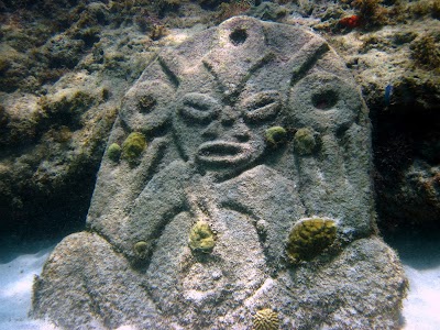 Photos of Eco Dive, Grenada Blue