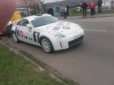 car-dealer