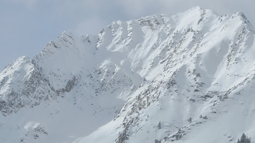 Thrill of the Mountain