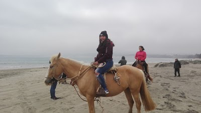 Photos of Playa Pichilangui