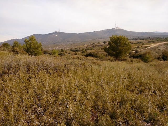 Terre de Mars