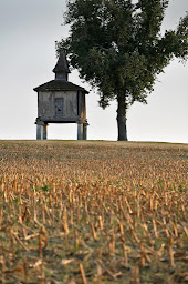 Photo n°15 de Gite Bastide de Sainte Juliette à Sainte-Juliette (Maison de vacances)