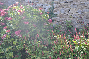 Photo n°1 de Les Citronniers Coop Bio à Le Creusot (Épicerie)