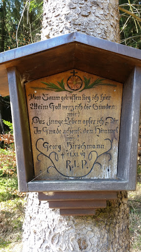 Dillberg - Visual
