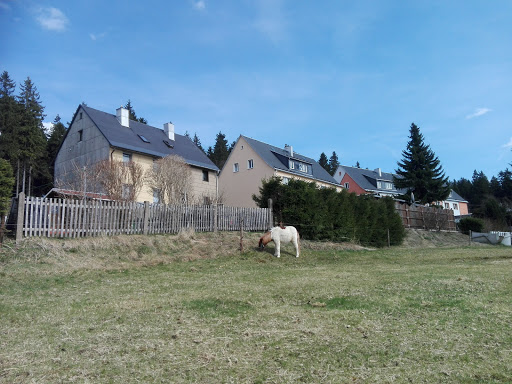 Reiterhof Ernstthal - Visual