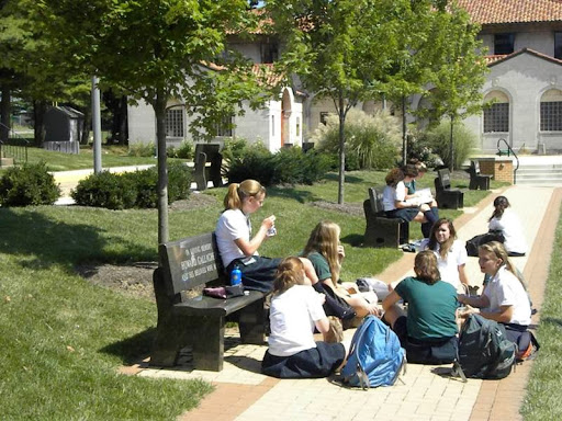Archmere Academy - Visual