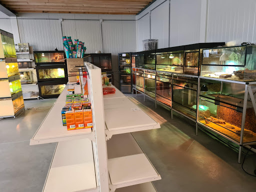 Bonder Exotics - Visual