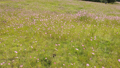 Ecoturístico Tepotzohtli, A.C. Park - Thumbnail
