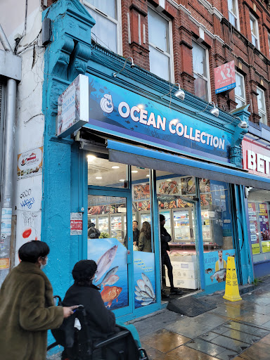 Ocean Collection - Visual