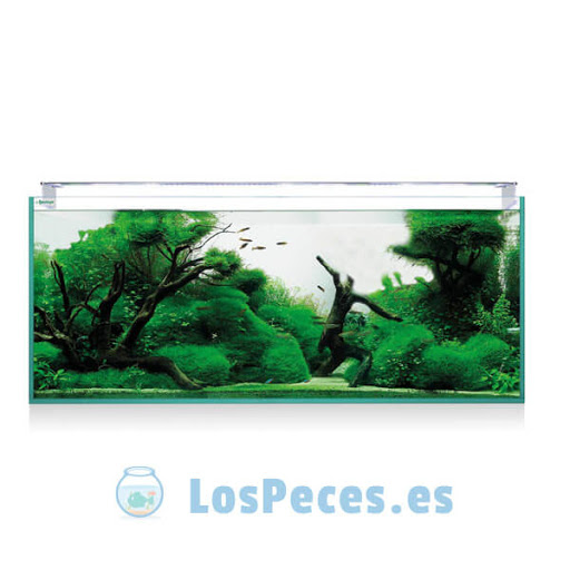 LosPeces.es - Visual